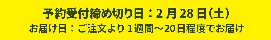 【予約商品】完熟きんかん たまたま 1kg（約50個） 果物 産地直送 期間限定