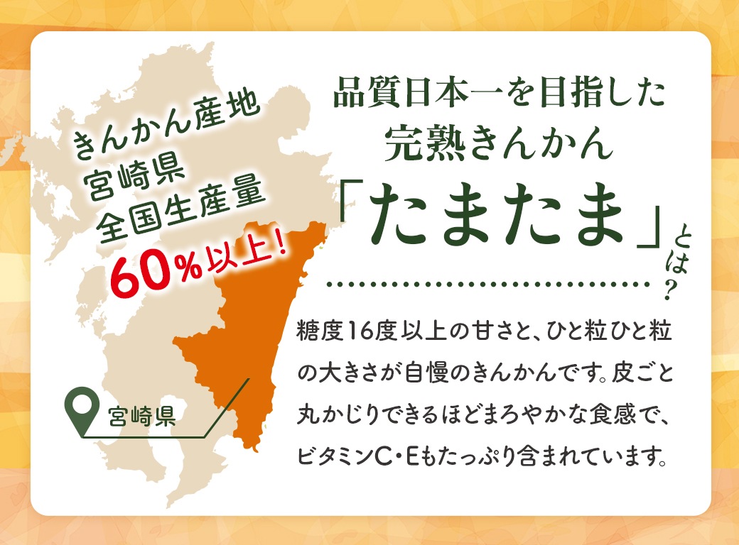 【予約商品】完熟きんかん たまたま 1kg（約50個） 果物 産地直送 期間限定