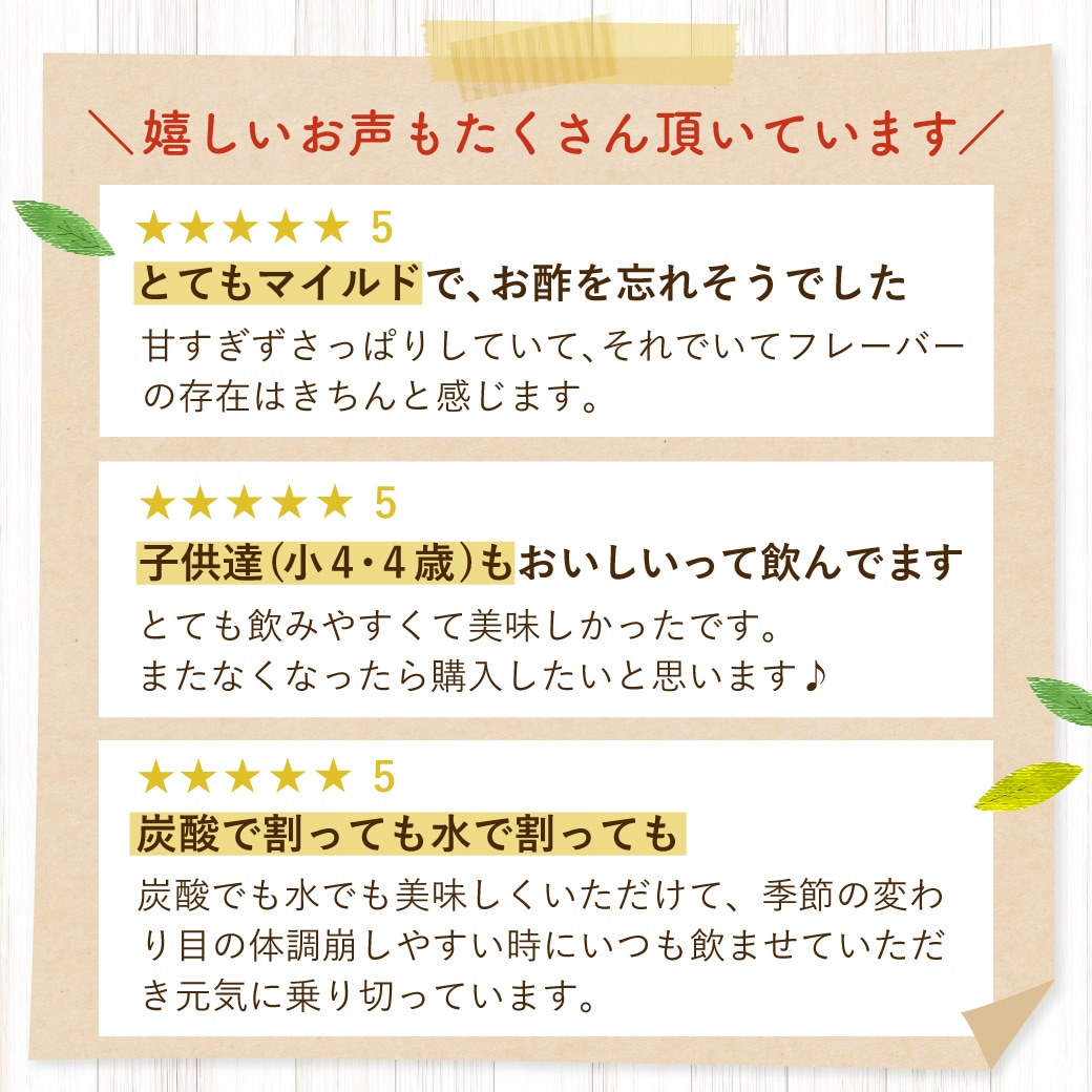 おいしい酢フルーツビネガー アセロラ 500ml×1本 フルーツビネガー 果実酢 飲む酢 飲むお酢 ビネガー