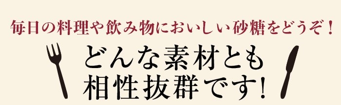 おいしい砂糖 500g×1袋 調味料 砂糖 さとうきび 加工黒糖 黒砂糖