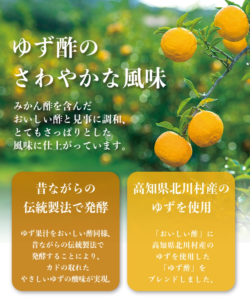 おいしい酢高知ゆず 900ml×12本 酢 お酢 調味料 季節限定 飲む酢 飲むお酢 ビネガー ドリンク ジュース 健康 高知県産 ユズ 柚子