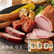 �ܳ��� �㲦��*FS-500��(253512)