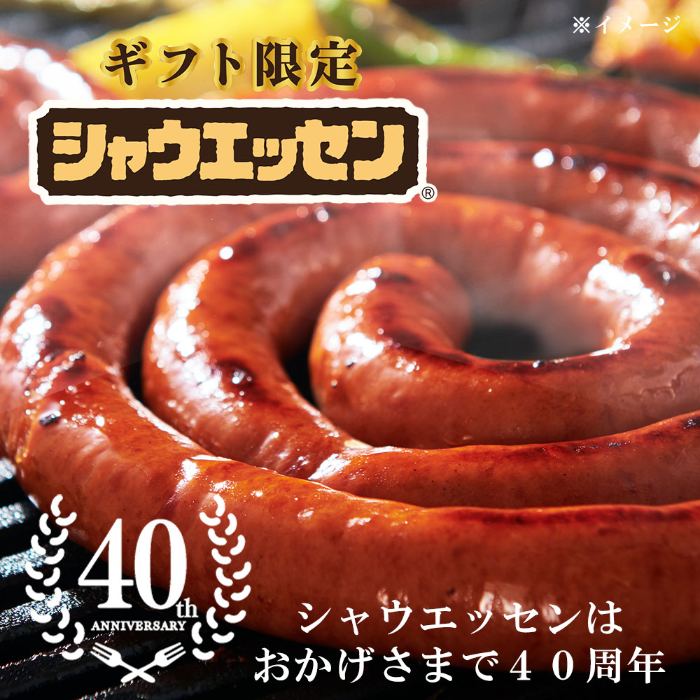 ���եȸ��ꥷ�㥦���å���SEG-500����222003��