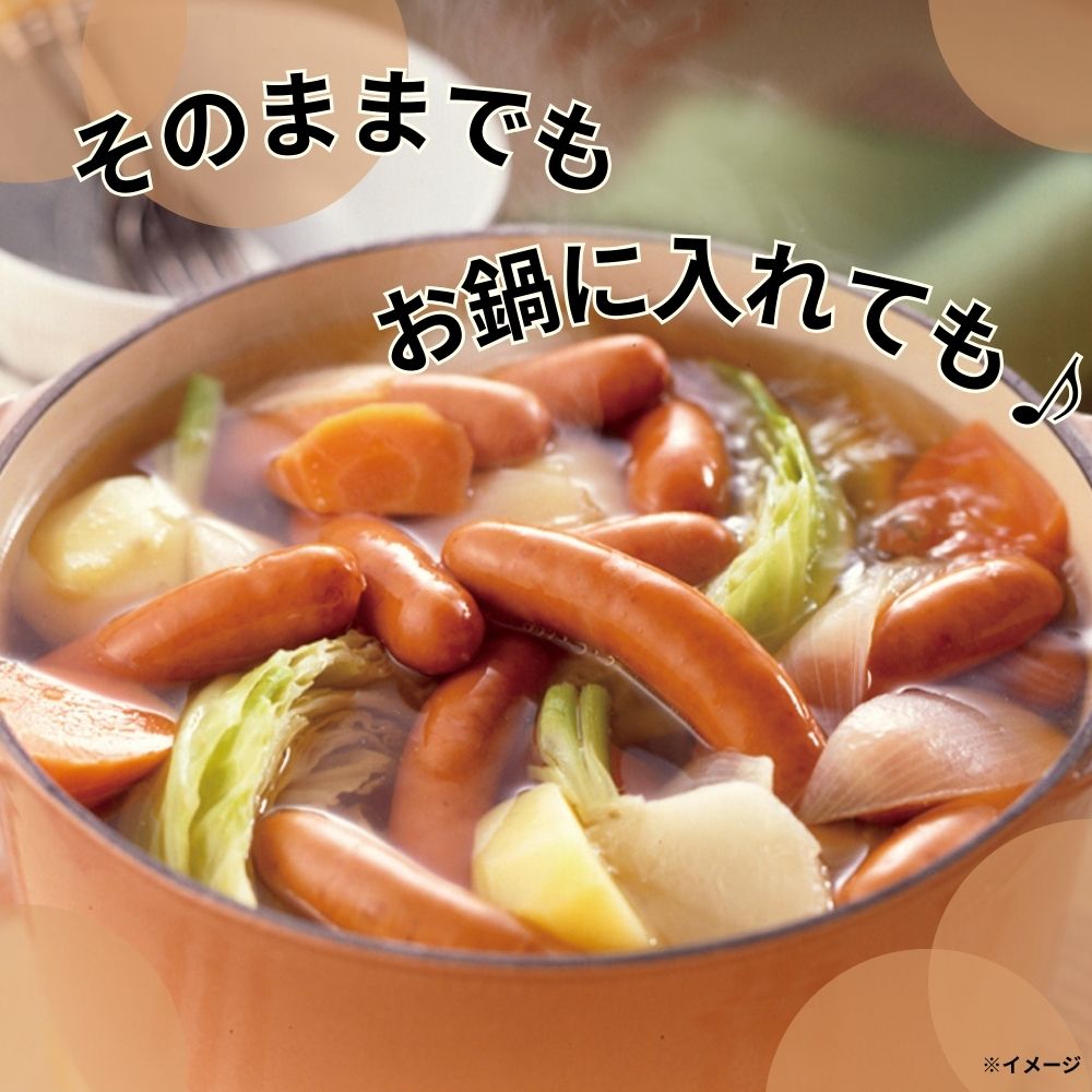 ���եȸ��ꥷ�㥦���å���SEG-500����222003��