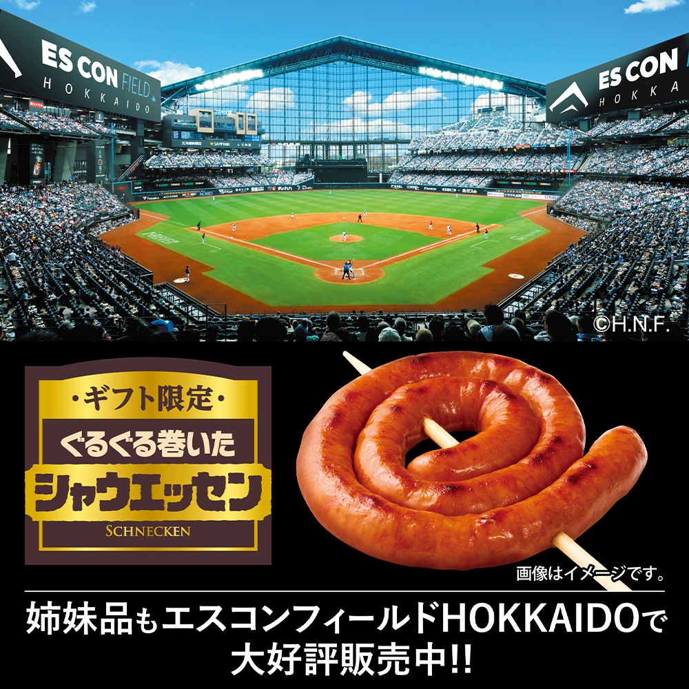 ���եȸ��ꥷ�㥦���å���SEG-500����222003��