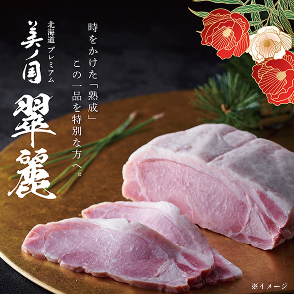 �̳�ƻ �ץ�ߥ��� ���ι񡡿��UKH-SR10����222003��