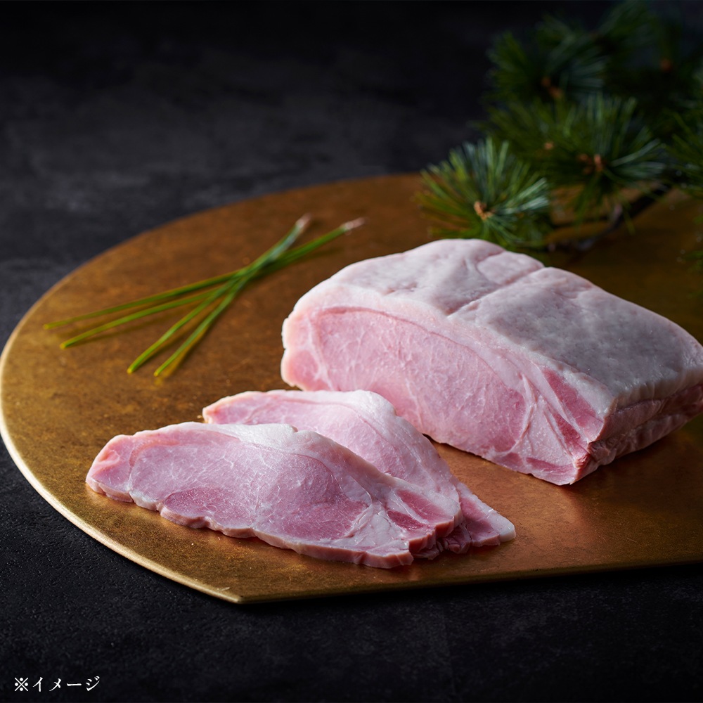 �̳�ƻ �ץ�ߥ��� ���ι񡡿��UKH-SR10����222003��