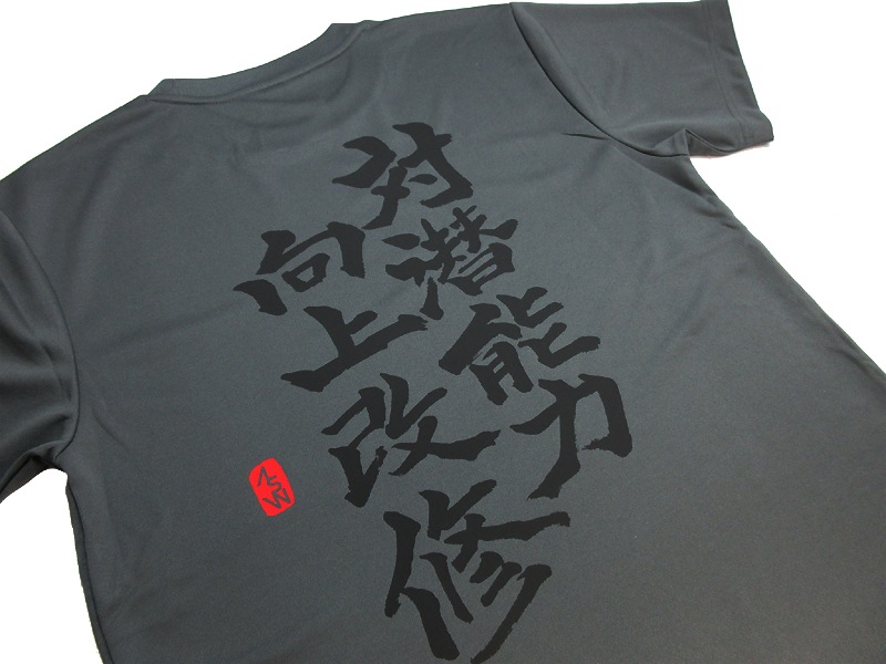 ����ǽ�ϸ��������ɮʸ���ۥɥ饤T����ġ���������