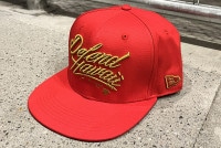 DEFEND HAWAII snapback cap (wildstyle) / red