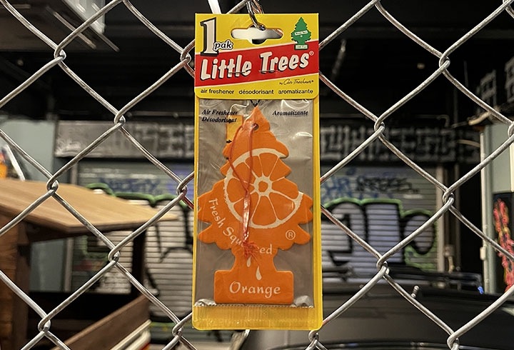 LITTLE TREES air freshener / orange