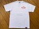 WISEMEN brand Tshirt (since) / white