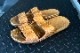hawaiian sandal / light brown