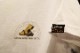 OSSANTHEHOOD Tshirt (chopstick-yl) / white