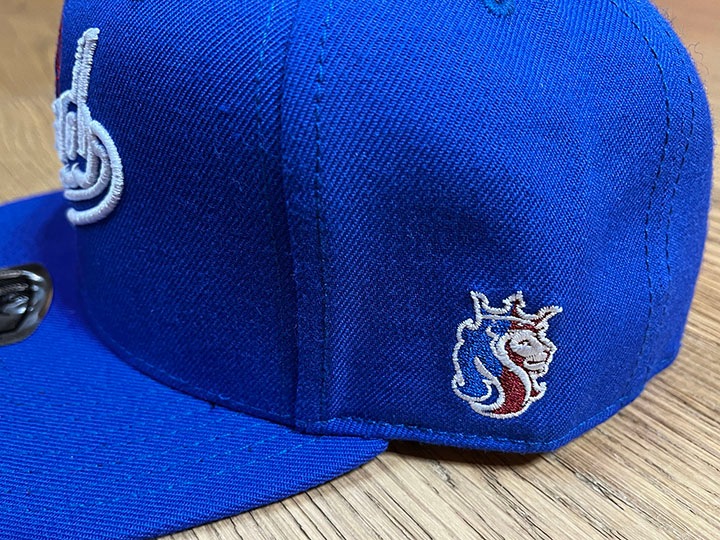 OG ABEL snapback cap (dad) / royal