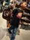 OSSANTHEHOOD kids backpack (fosho) / brown