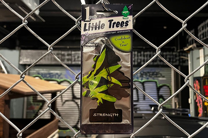 LITTLE TREES air freshener / strength