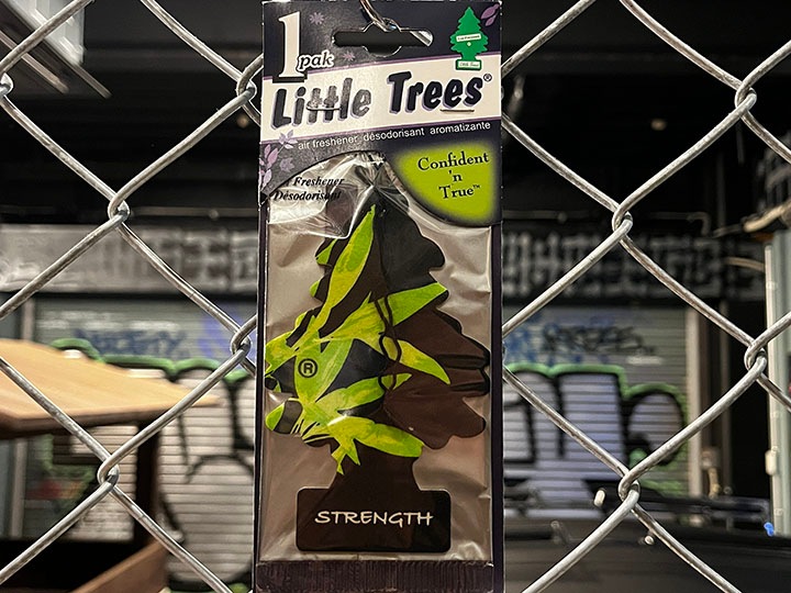 LITTLE TREES air freshener / strength