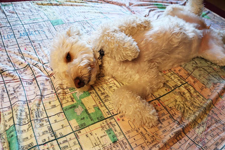 OSSANTHEHOOD big blanket (LAmap) 200cm x 150cm