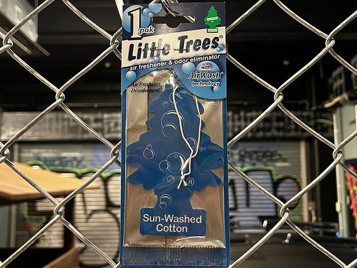 LITTLE TREES air freshener / sun washed cotton
