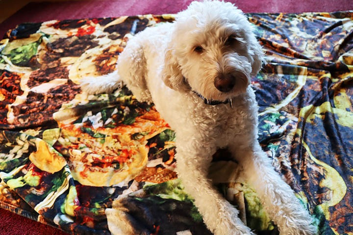 OSSANTHEHOOD big blanket (TACOS) 200cm x 150cm