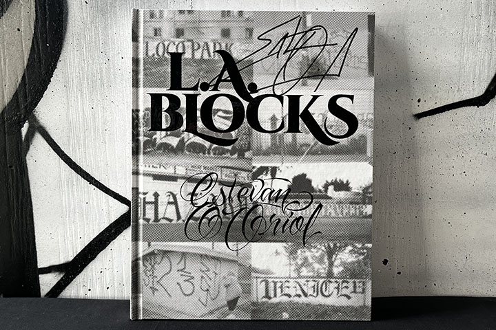 ESTEVAN ORIOL "L.A. BLOCKS" hard book 263 pages