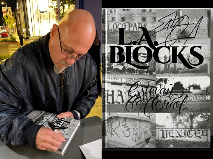 ESTEVAN ORIOL "L.A. BLOCKS" hard book 263 pages