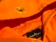 OSSANTHEHOOD pullover hood (neon) / orange