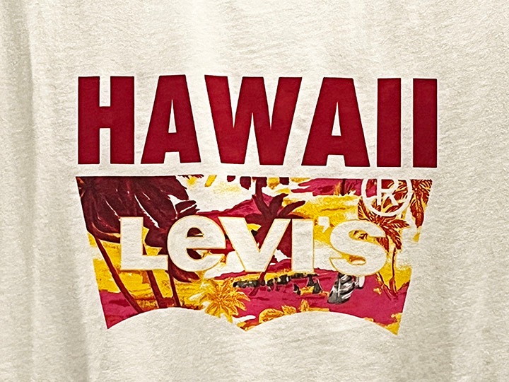 LEVIS HAWAII Tshirt / white