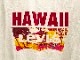 LEVIS HAWAII Tshirt / white