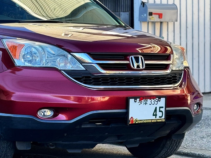 OSSANTHEHOOD license plate frame (most wanted) 2祻å