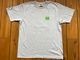 OSSANTHEHOOD 7.2oz heavyweight Tshirt (six buttons) / heather gray