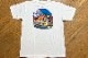 OSSANTHEHOOD Tshirt (toppers) / white
