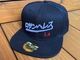 OSSANTHEHOOD snapback cap (Los Angeles) / black
