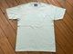 NICETY 7.2oz heavyweight Tshirt (hellyeah) / sea glass