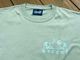 NICETY 7.2oz heavyweight Tshirt (hellyeah) / sea glass