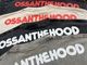 OSSANTHEHOOD 8.2oz dye Tshirt (scooter) / beige
