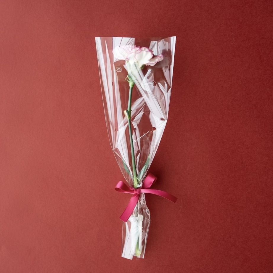 【母の日ギフト】カーネーション　1本