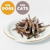 国産無添加 きびなごジャーキー 犬猫用おやつ
