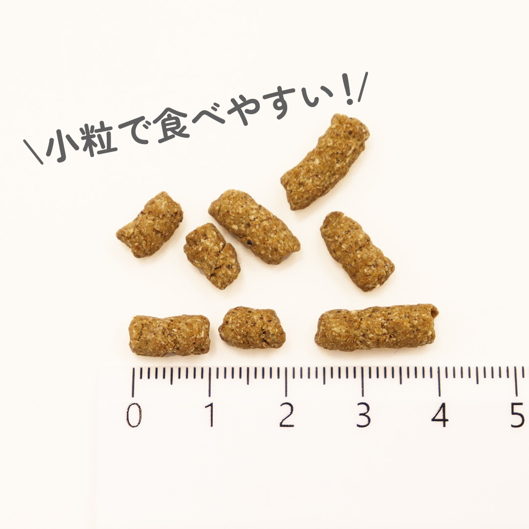 ワンのごはん 500g お試しセット (250g×2袋) NicoWan  国産 無添加 ドッグフード 小粒 小型犬向け 総合栄養食 