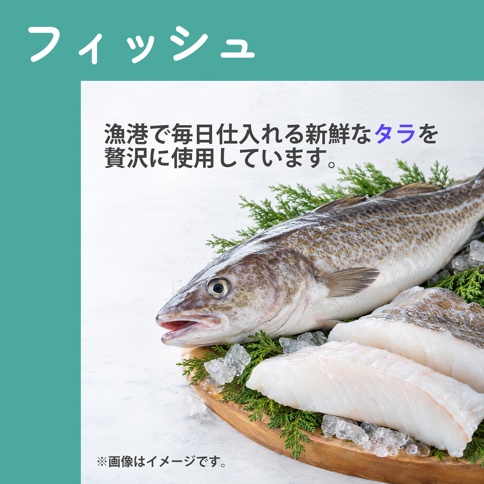ワンのごはん 500g お試しセット (250g×2袋) NicoWan  国産 無添加 ドッグフード 小粒 小型犬向け 総合栄養食 