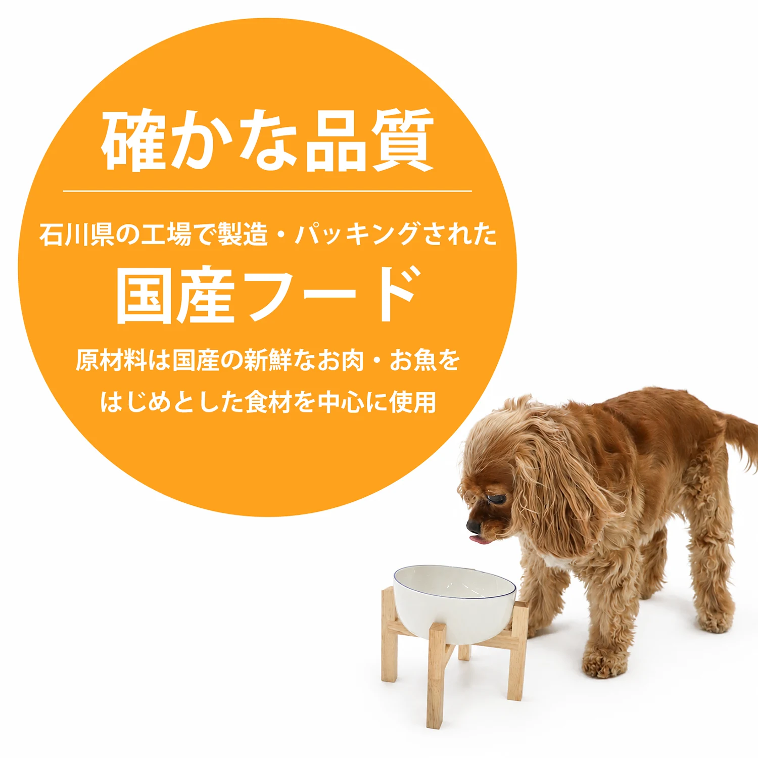 NicoWan ワンのごはん ミックス味 国産 無添加 ドッグフード 小粒 総合栄養食 