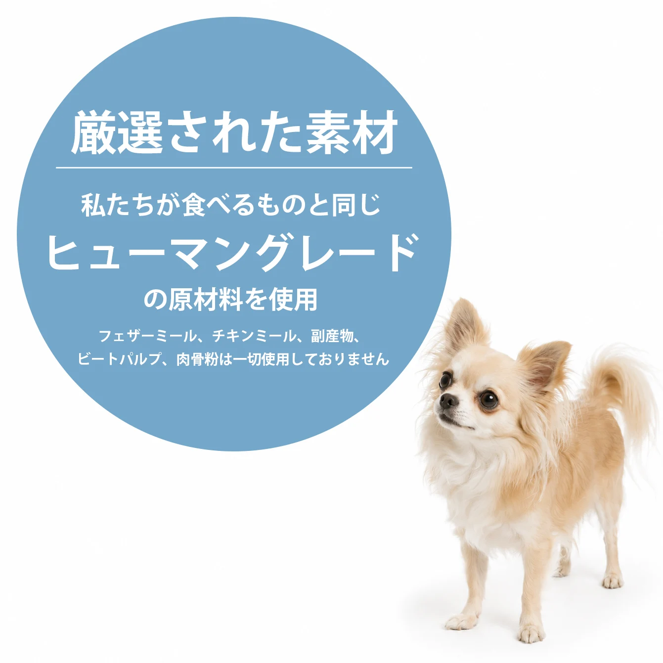 NicoWan ワンのごはん ミックス味 国産 無添加 ドッグフード 小粒 総合栄養食 