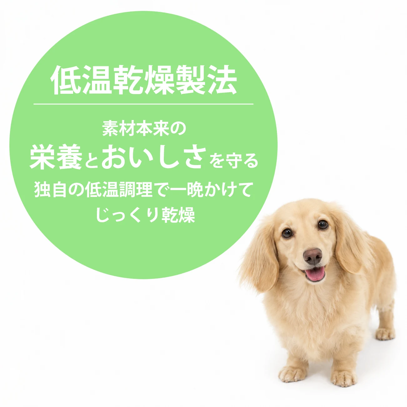 NicoWan ワンのごはん ミックス味 国産 無添加 ドッグフード 小粒 総合栄養食 