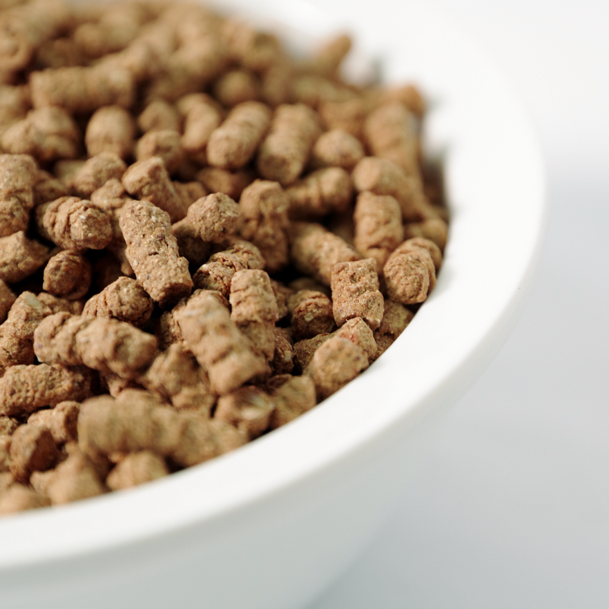 【初回お試し 送料無料】NicoWan ワンのごはん 250g 国産 無添加 ドッグフード 小粒 小型犬向け 総合栄養食 