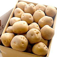 じゃがいも】北あかり（5㎏/箱） | 北海道産地直送品,じゃがいも