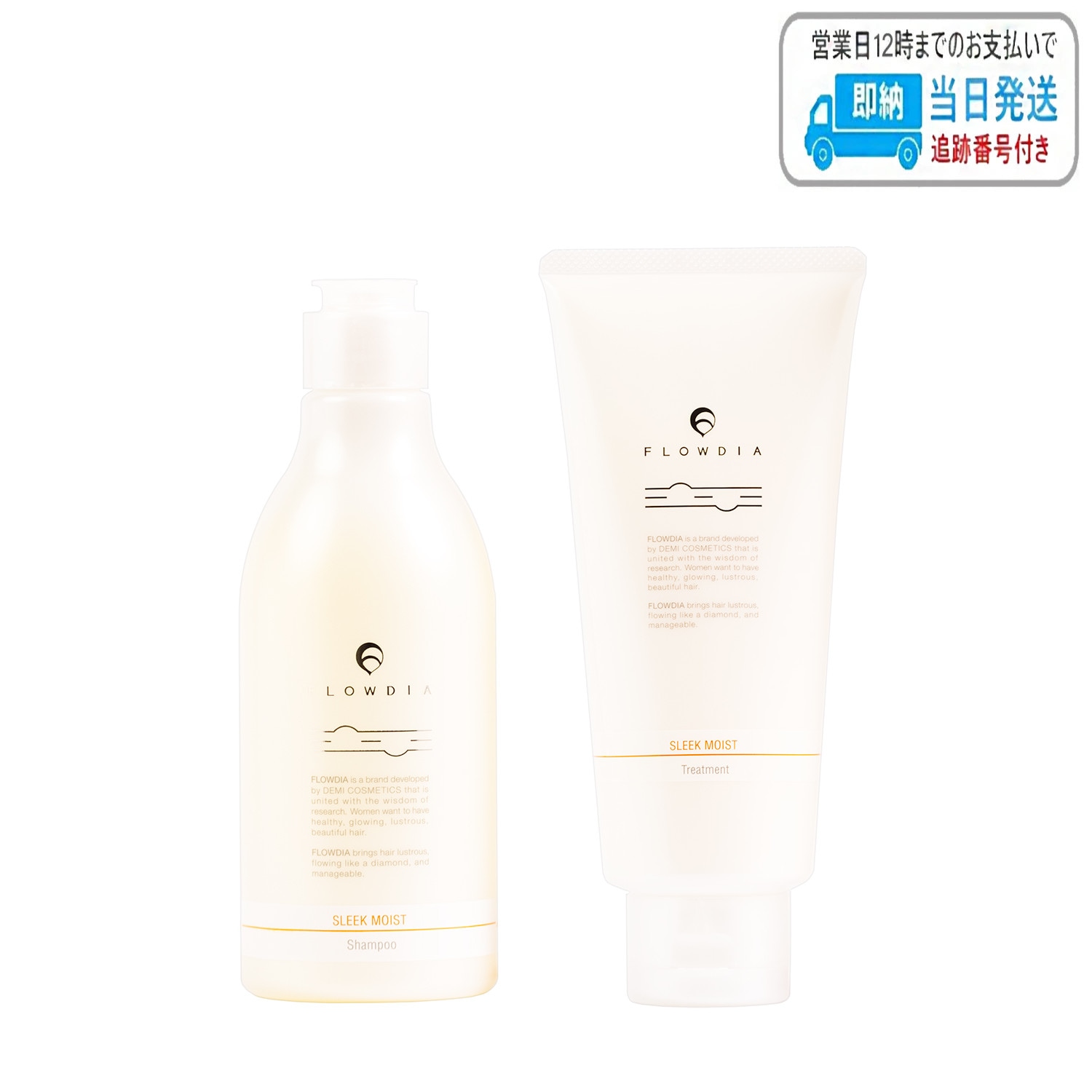【セット品】デミ フローディア シャンプー スリークモイスト 250ml トリートメント 200g デミコスメティクス LSC 