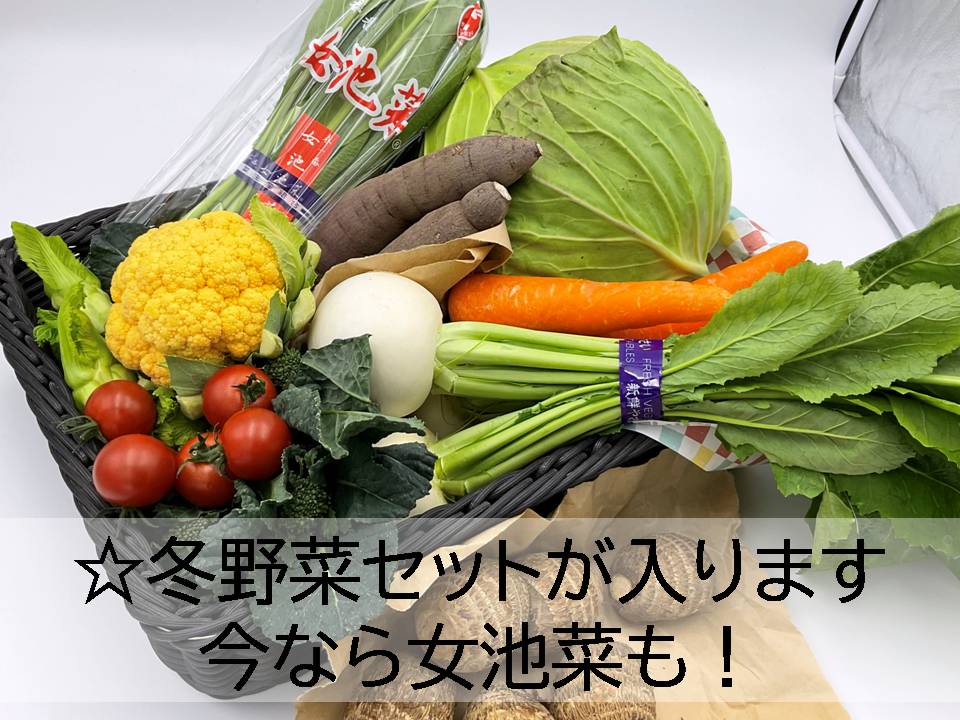 �������ޤ���������ڥ��åȡʽܤΤ���ڤ��������