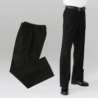 ネット限定特価　ポリエステル100％　標準型学生服　冬ズボン単品 （ノータック、ワンタック)