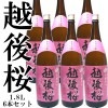 (まとめ買い) 越後桜 普通酒 1.8Ｌ 6本　越後桜酒造