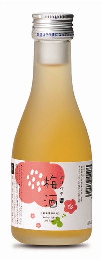 新潟清酒 高野酒造 地球寳1.8L 2本 （新潟清酒 高野酒造 地球寳